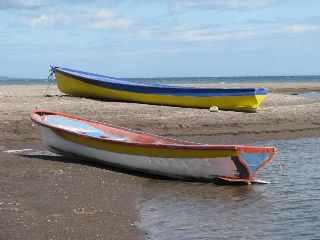 pangas_10