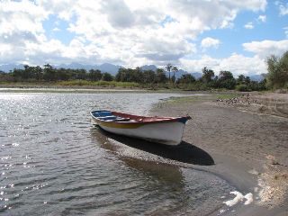 pangas_2
