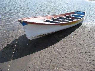 pangas_8